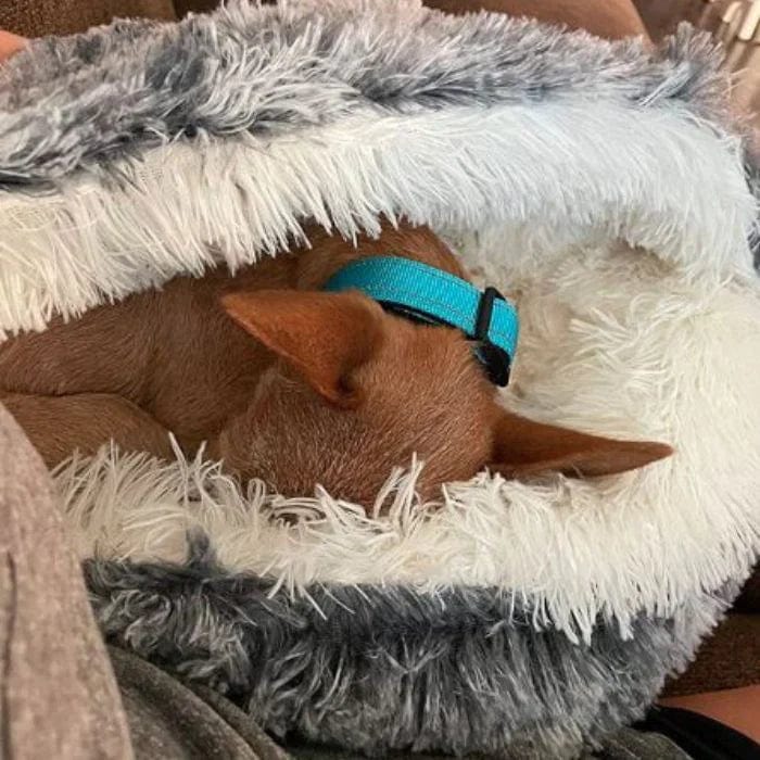 CozyNook Pluche Zacht Hond- en Kattenbed Rond Bed