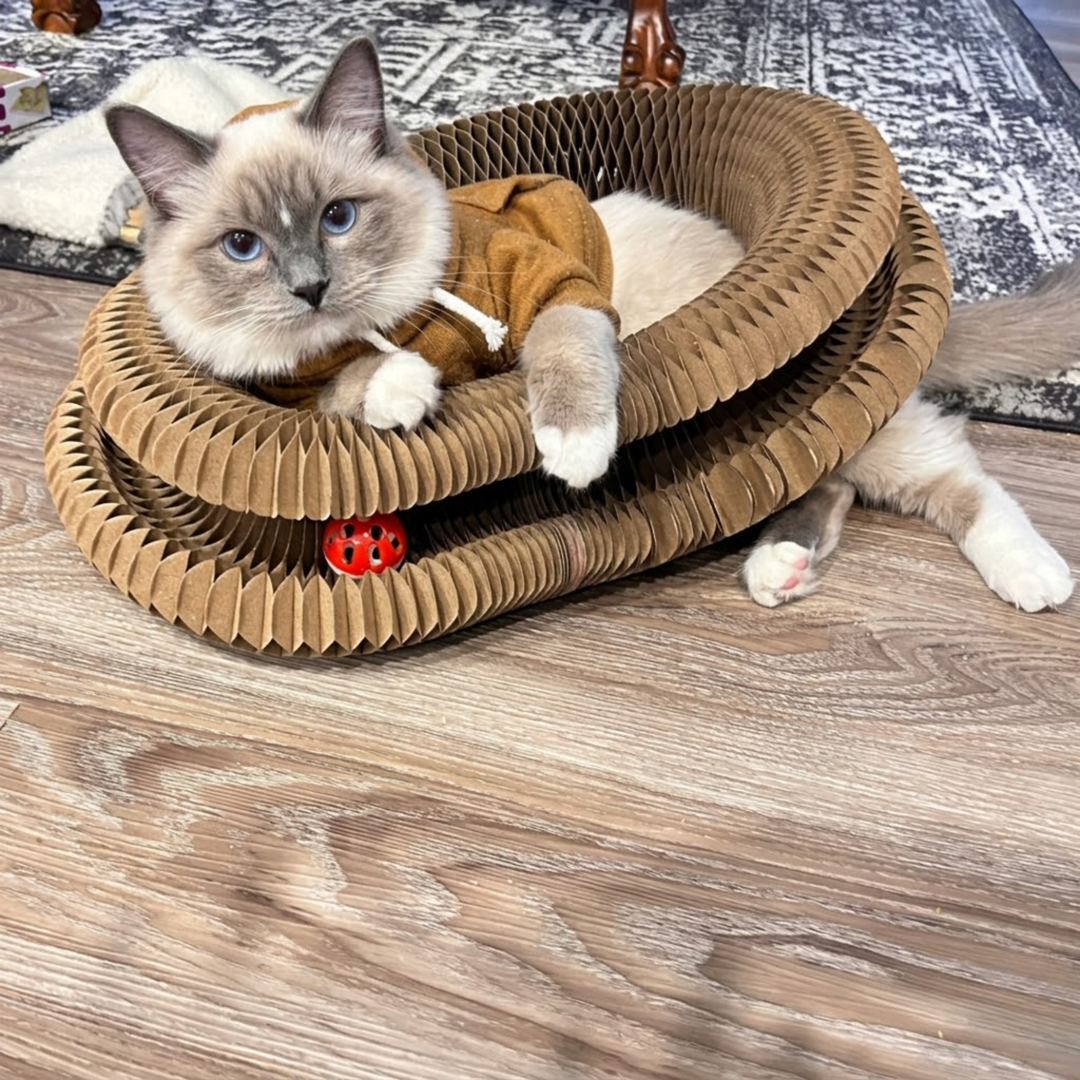 2-in-1 Kattenbed & Krabspeelgoed – Spelen én Ontspannen