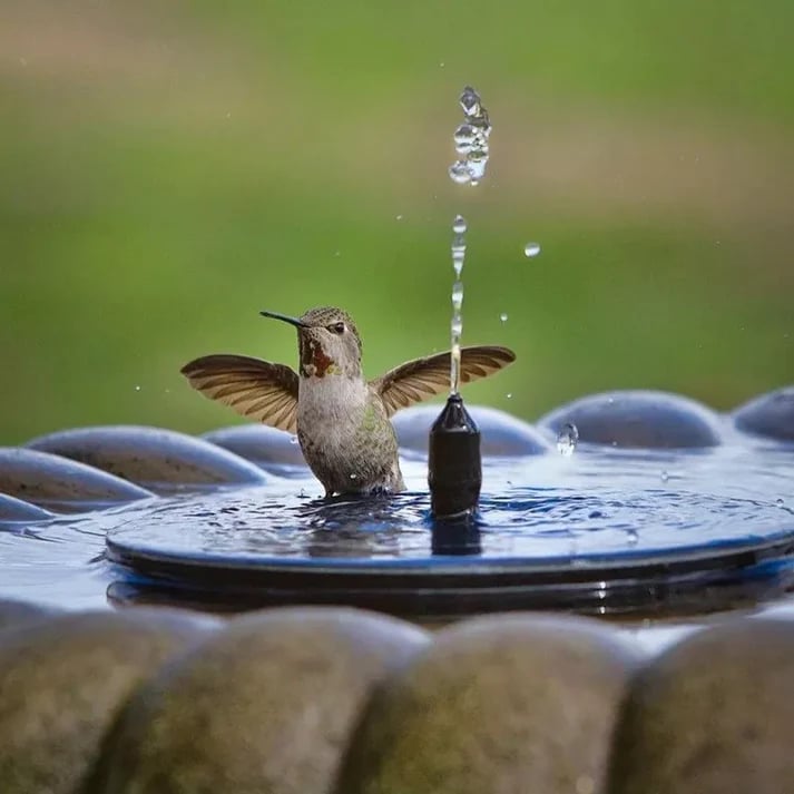 Solar Fontein voor Tuin & Vijver – Direct Sfeervol en Duurzaam 💧